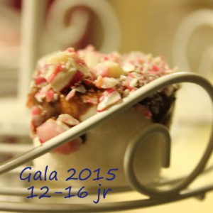 Gala-12-16 2015